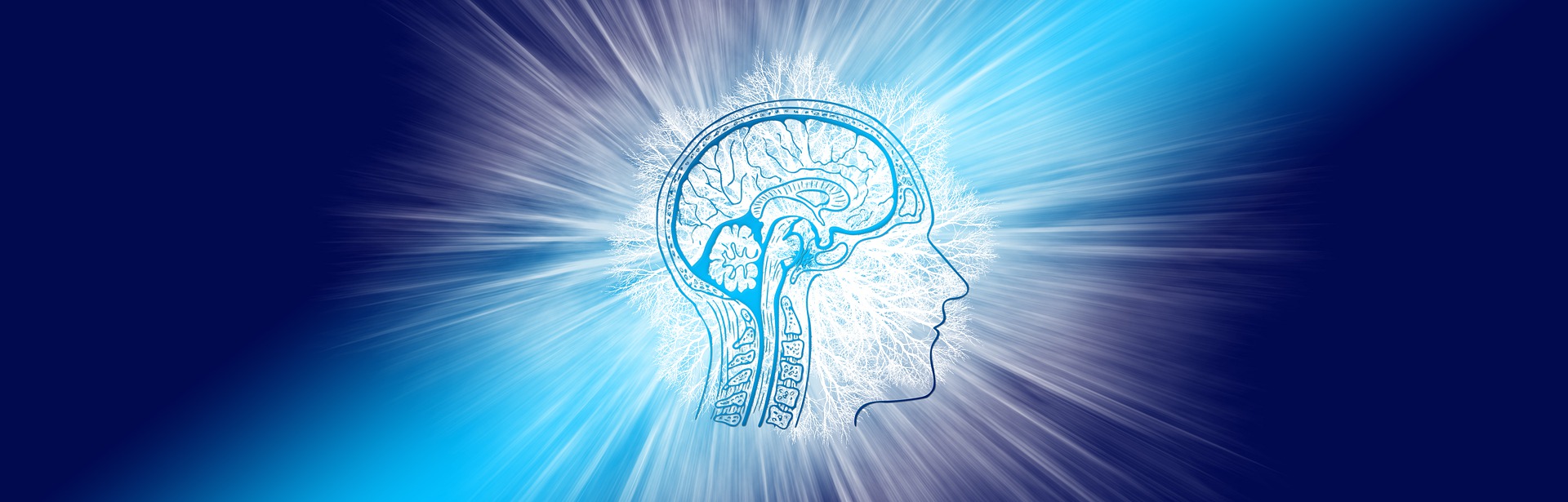 brain-intelligence-g60d793dea_1920