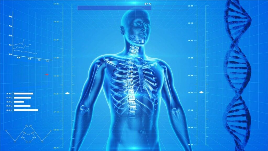 human-skeleton-gbe358fd3b_1280