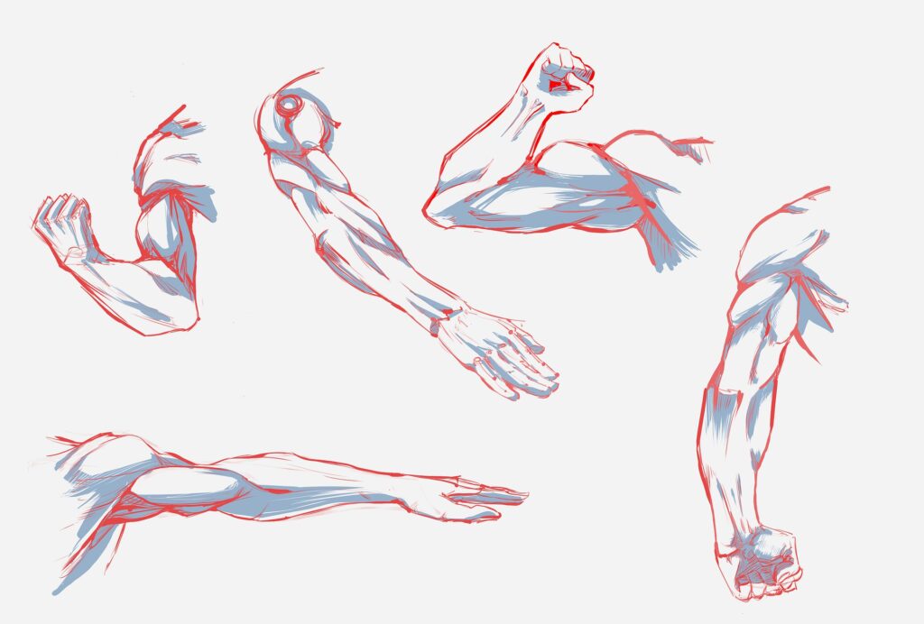 arm-ga2f8e3c4e_1920